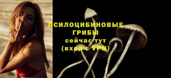 прущие крисы Алексин