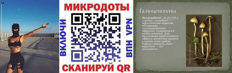 Галлюциногенные грибы мицелий  МЕГА зеркало  Усть-Лабинск  как найти закладки 